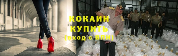 PSILOCYBIN Богородск