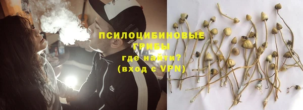 PSILOCYBIN Богородск