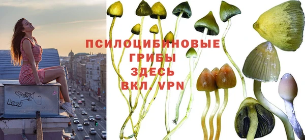 PSILOCYBIN Богородск