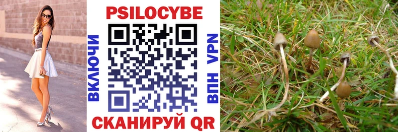 Купить закладки  Белокуриха  Галлюциногенные грибы мухоморы 